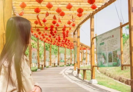 住在庄园小姐姐,邂逅美好生活的点点滴滴
